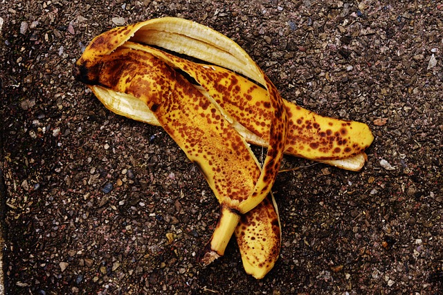 why do bananas split