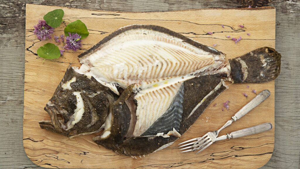 Why is Turbot Celebrated as a Culinary Delicacy