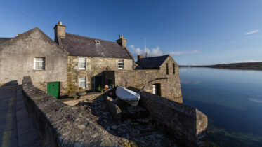 Why there are no trees in Shetland