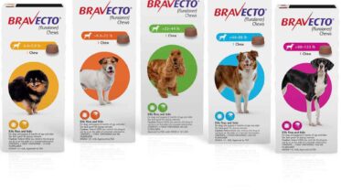 Can I Get Bravecto Without a Vet Prescription in the UK