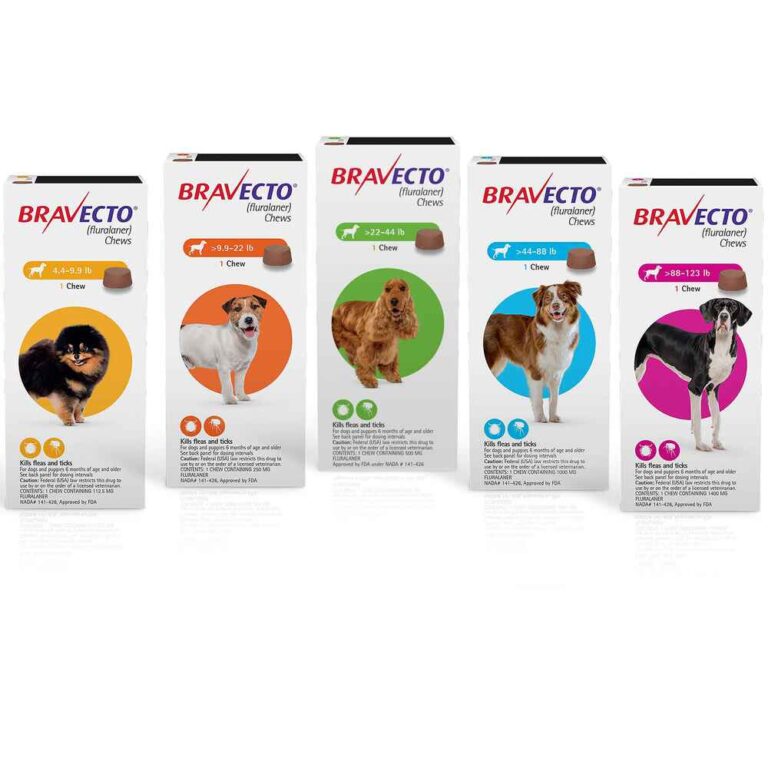 Can I Get Bravecto Without a Vet Prescription in the UK