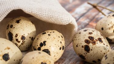 What Do Quail Eggs Taste Like