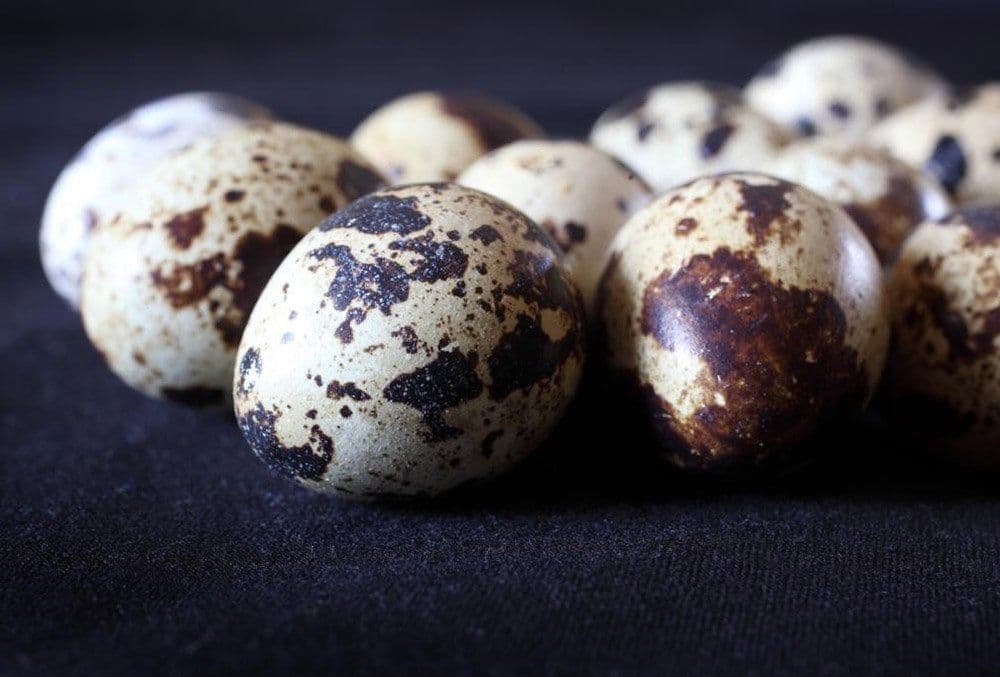 Uses and Easy Preparation of Quail Eggs