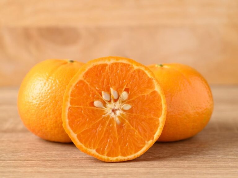 Can You Eat Orange Seeds