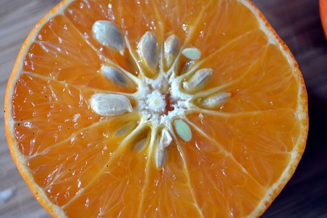 Factors to Consider to Eat Orange Seeds