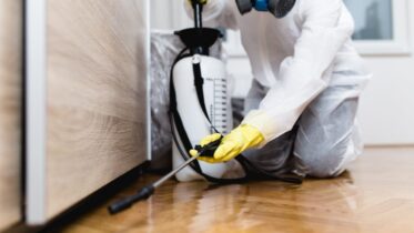The Homeowner's Guide to Effective Pest Control