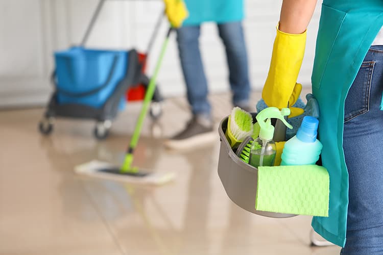 Regular House Cleaning Services